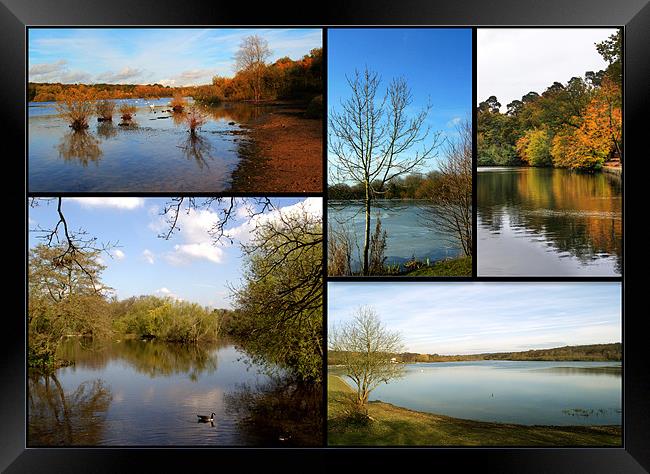 Country Parks Collage Framed Print by Chris Day