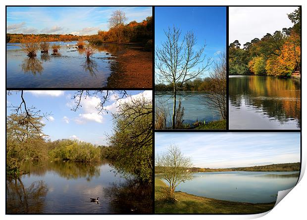 Country Parks Collage Print by Chris Day