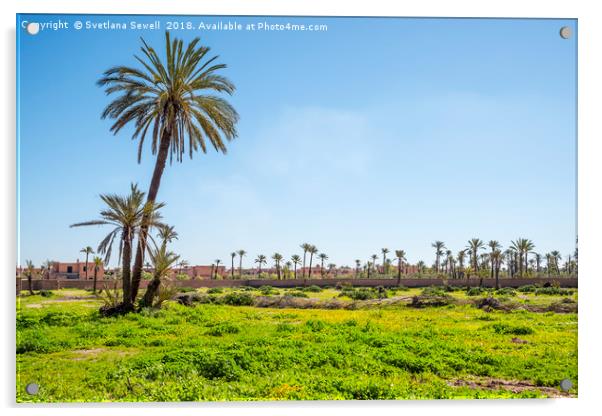 Palms of Morocco Acrylic by Svetlana Sewell