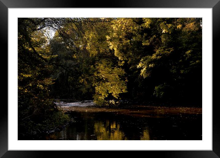 Autumn Sunshine and Shadow Framed Mounted Print by Jim Jones