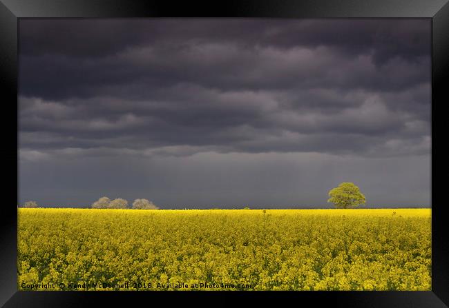 A storm brewing over a rapeseed field Framed Print by Wendy McDonnell