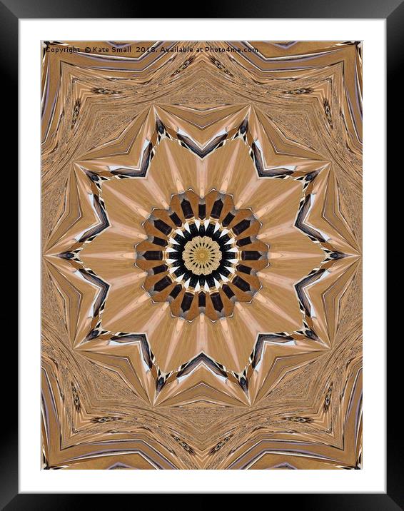 Pattern in the wood Framed Mounted Print by Kate Small