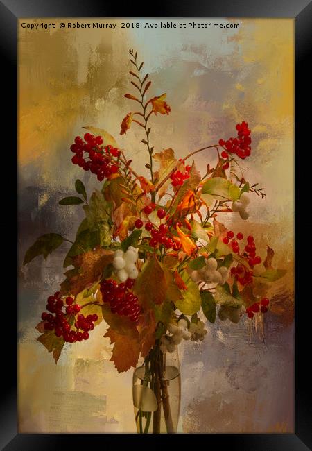 Autumn Berries Framed Print by Robert Murray