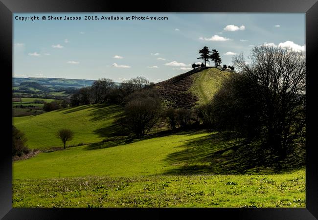 Colmers Hill shadows  Framed Print by Shaun Jacobs