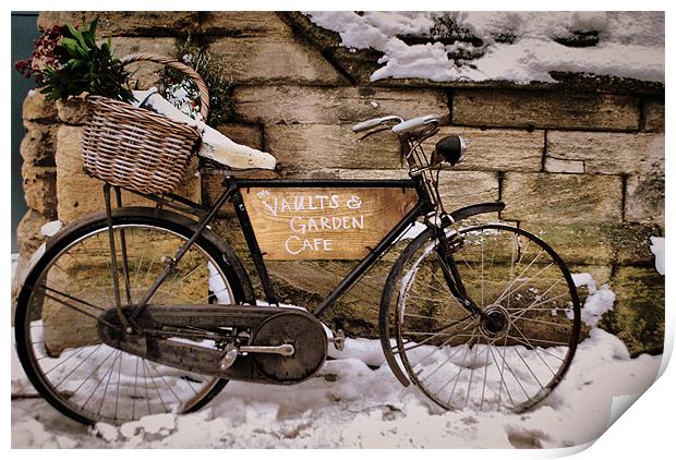 Oxford Bike Print by Karen Martin