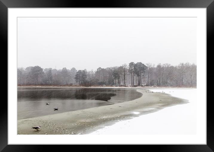  Frozen lake at Stover county park Framed Mounted Print by Sebastien Coell
