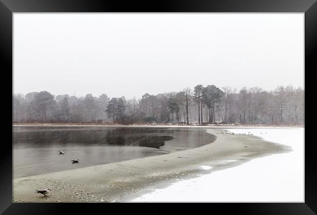  Frozen lake at Stover county park Framed Print by Sebastien Coell