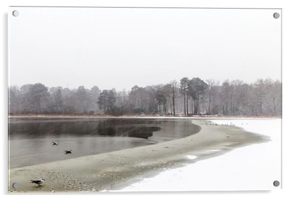  Frozen lake at Stover county park Acrylic by Sebastien Coell