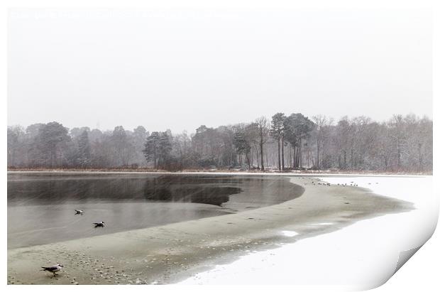  Frozen lake at Stover county park Print by Sebastien Coell