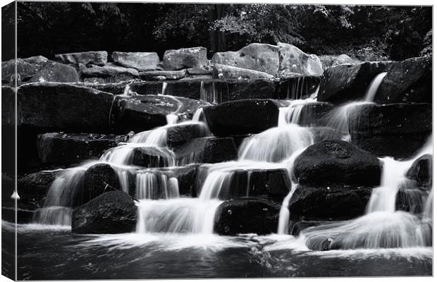 water fall Canvas Print by Doug McRae