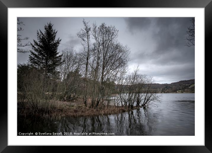 Dreamy trees near lake Framed Mounted Print by Svetlana Sewell