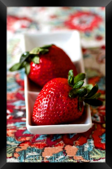 Strawberry duo  Framed Print by Margaret Stanton