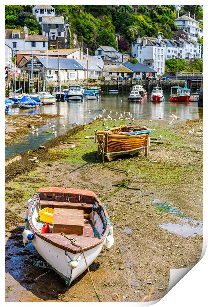 Polperro Harbour Cornwall Print by RICHARD MOULT