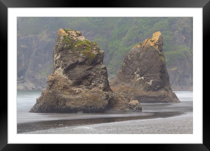 Seastacks, Ruby Beach, Olympic National Park Framed Mounted Print by David Roossien