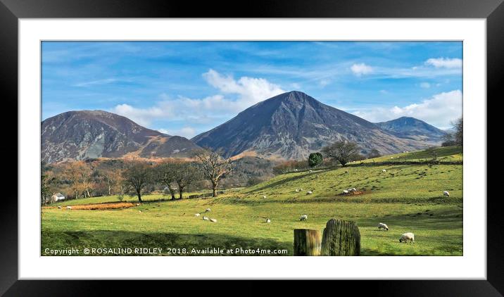 "Sunny day across the Lake District" Framed Mounted Print by ROS RIDLEY