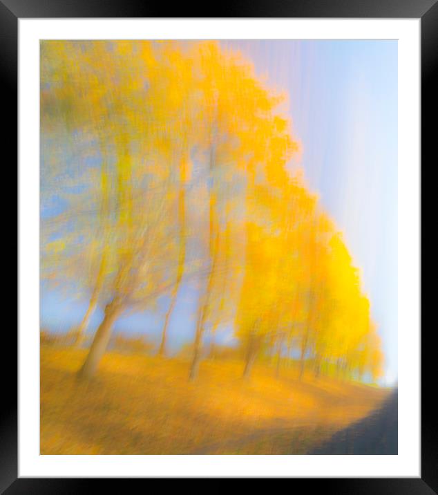 Autum Colours Framed Mounted Print by Dave Collins
