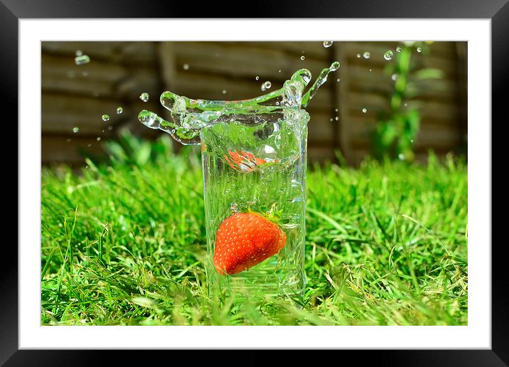 A Taste of Summer Framed Mounted Print by pristine_ images