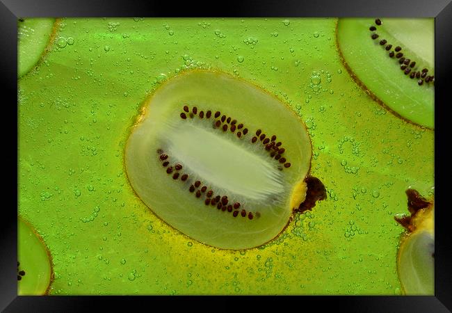 Kiwifruit Framed Print by pristine_ images