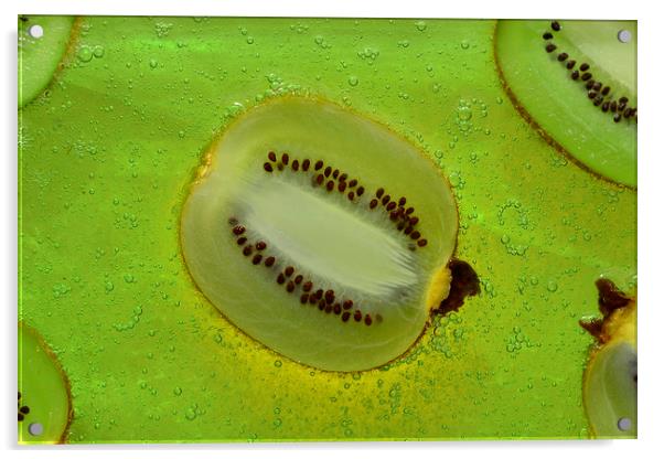 Kiwifruit Acrylic by pristine_ images