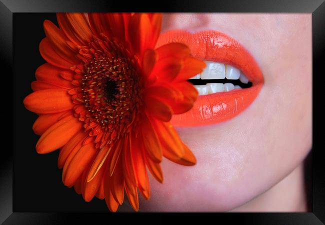 Flower in Mouth Framed Print by pristine_ images