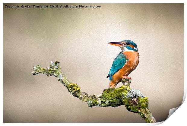 Kingfisher with oil painting effect Print by Alan Tunnicliffe