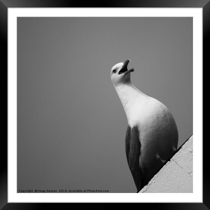 TheSeagull Framed Mounted Print by Hugo Soares