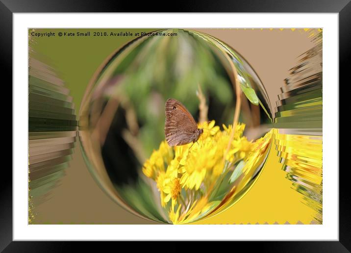 Resting on young Taraxacum Framed Mounted Print by Kate Small