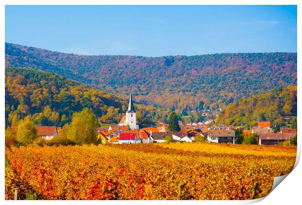 Autumn vineyard,Germany Print by Philip Enticknap