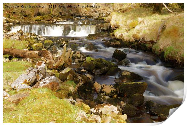 RIBBLESDALE WATERFALLS Print by andrew saxton