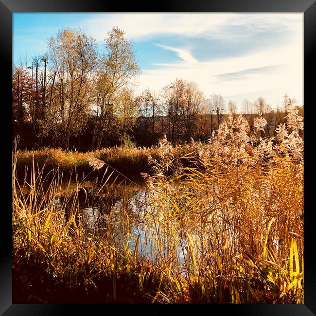 Tranquil Bluewater Lake Framed Print by Jonathan Pankhurst