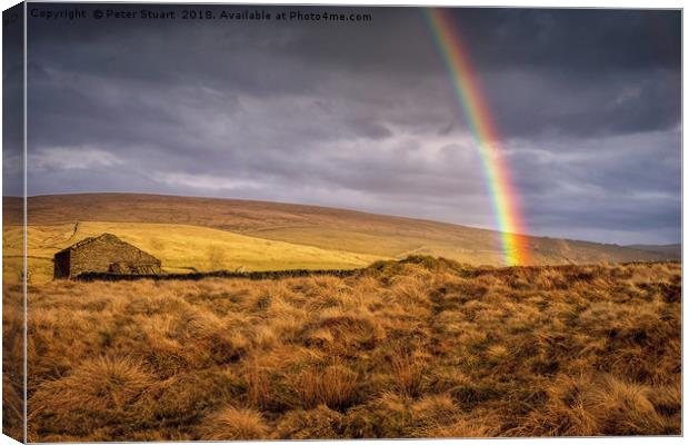Dales Rainbow Canvas Print by Peter Stuart