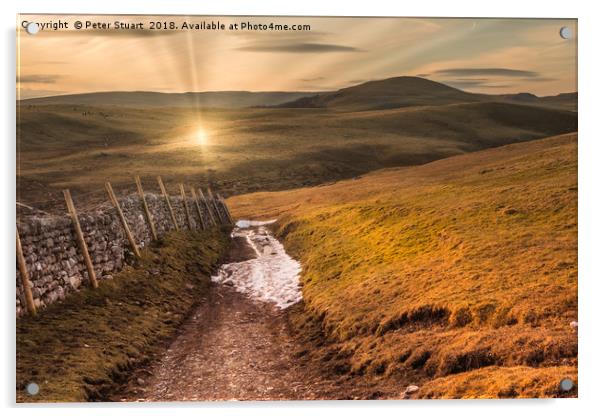 Setting sun in the Yorkshire Dales Acrylic by Peter Stuart