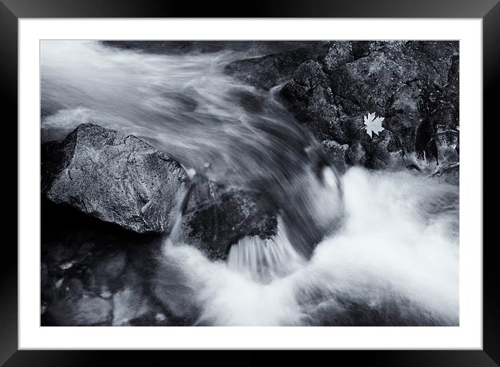 One LEft Framed Mounted Print by Mike Dawson