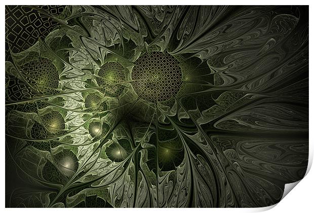 Fractal Moss Print by Ann Garrett