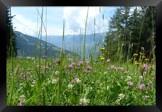 Meadow in the Alps Framed Print by Karen Spence