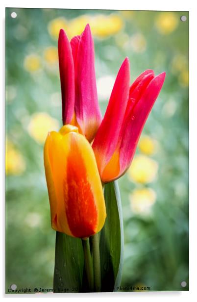 A Vibrant Burst of Spring Acrylic by Jeremy Sage