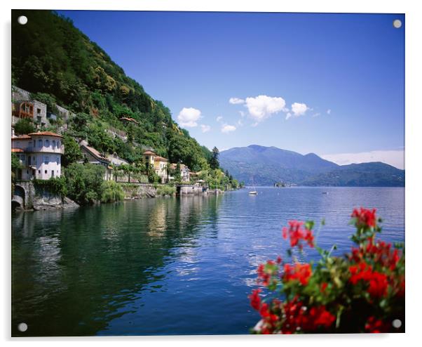 CANNERO RIVIERA.LAKE MAGGIORE ITALY  Acrylic by Philip Enticknap