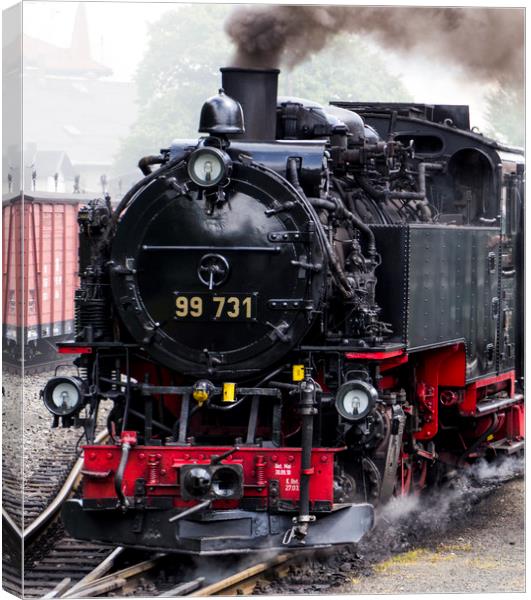 German DRG Class99.73–76 narrow gauge steam locomo Canvas Print by Philip Enticknap