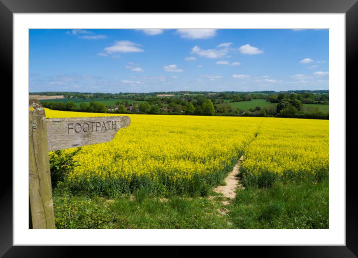 Footpath Sign to pathway through rapefield  Framed Mounted Print by Philip Enticknap