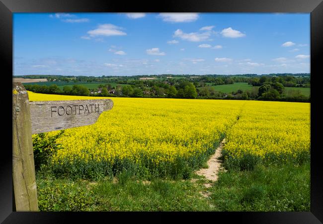 Footpath Sign to pathway through rapefield  Framed Print by Philip Enticknap