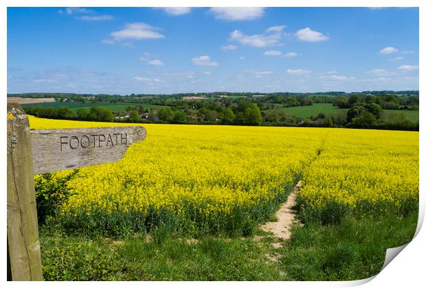 Footpath Sign to pathway through rapefield  Print by Philip Enticknap