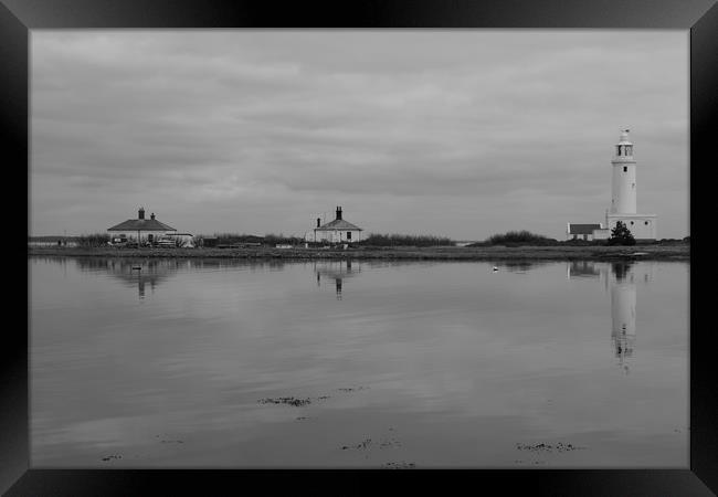 Hurst Point Lighthouse and Cottages in Spring Framed Print by Rob Evans