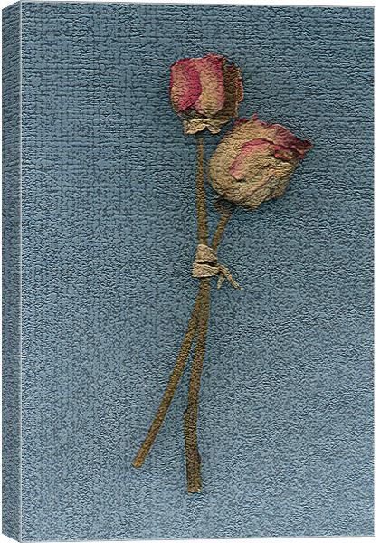 Paper roses Canvas Print by Graham Piper