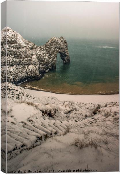 Durdle Door blizzard morning  Canvas Print by Shaun Jacobs