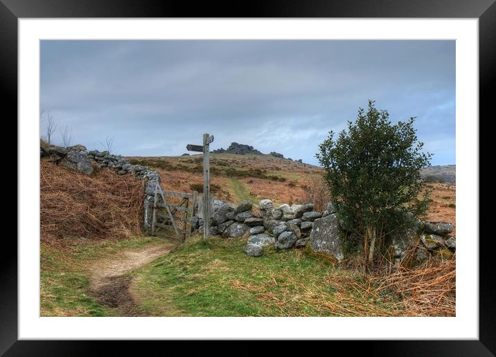 The Path to Hound Tor Framed Mounted Print by Diana Mower