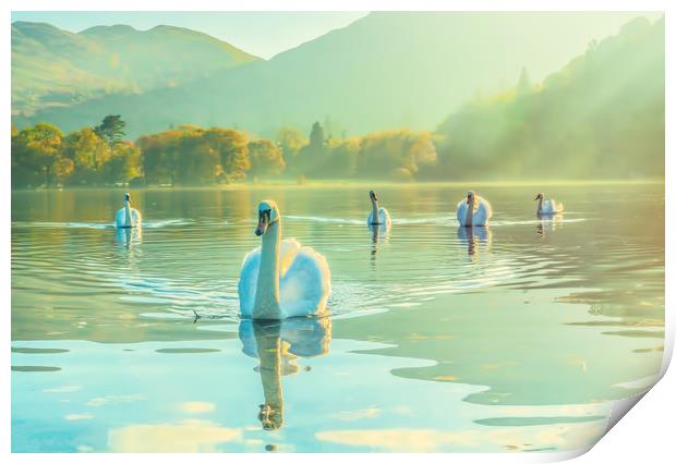 Swan Lake Print by Gary chadbond