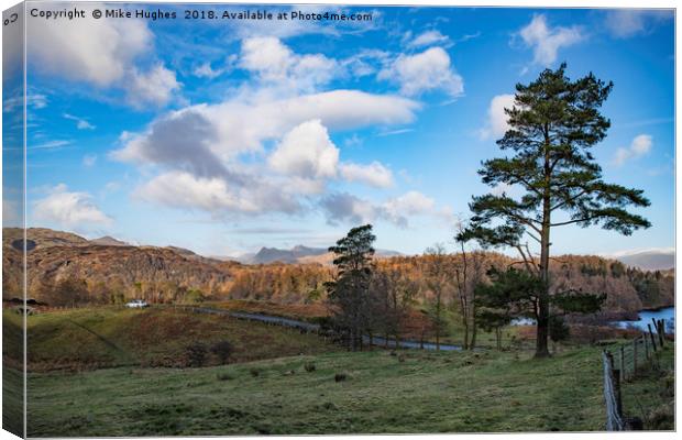 Tarn Hows Canvas Print by Mike Hughes
