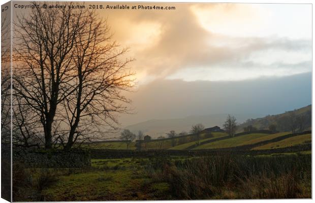 SUN UP SWALEDALE  Canvas Print by andrew saxton