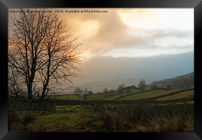 SUN UP SWALEDALE  Framed Print by andrew saxton