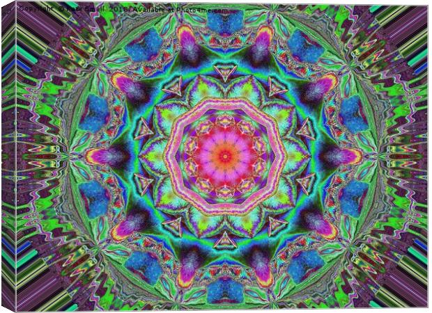 Psychedelic Canvas Print by Kate Small